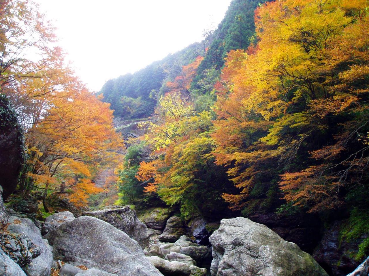 Nature Resort In Niyodo Niyodogawa Zewnętrze zdjęcie