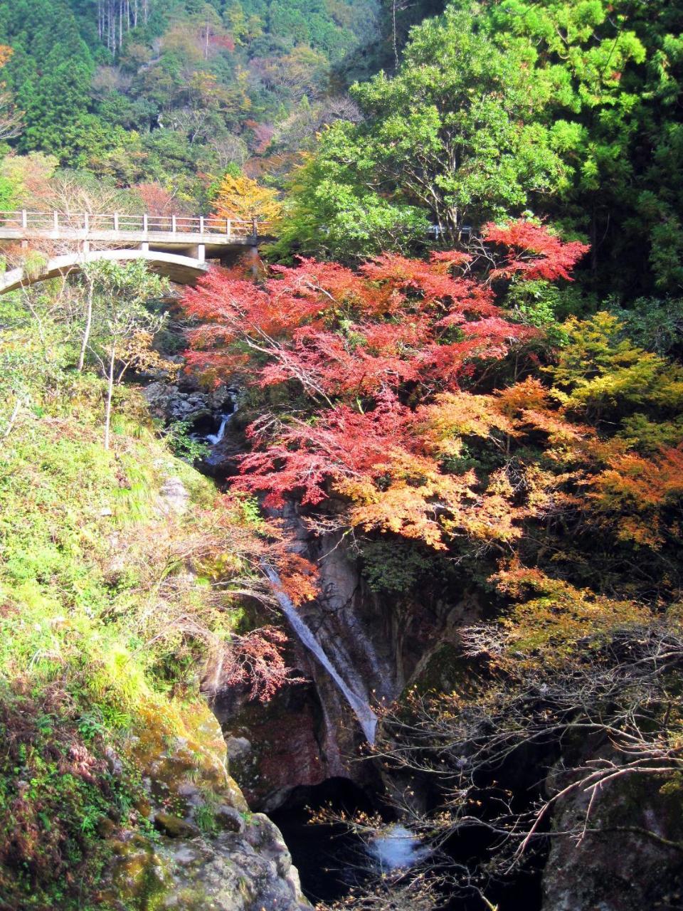 Nature Resort In Niyodo Niyodogawa Zewnętrze zdjęcie